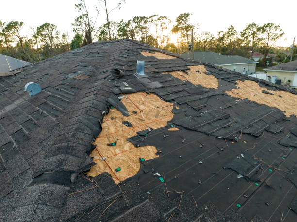 Trusted Eastman, GA Roofing Services Experts